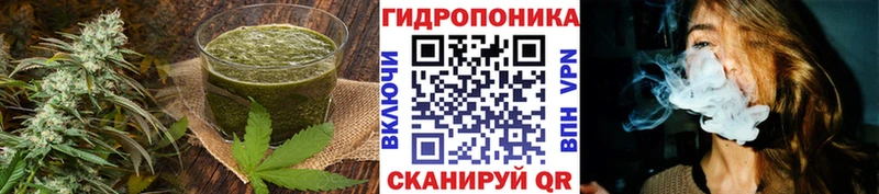 где можно купить   Морозовск  Cannafood конопля 