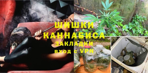 МДПВ Богородицк