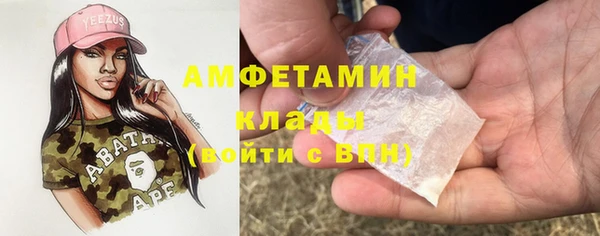 мдпв Богородск