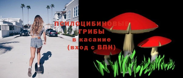 МДПВ Богородицк