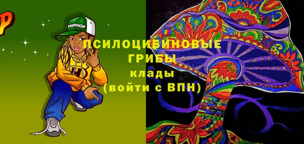 МДПВ Богородицк