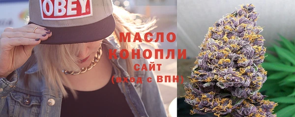 мдпв Богородск