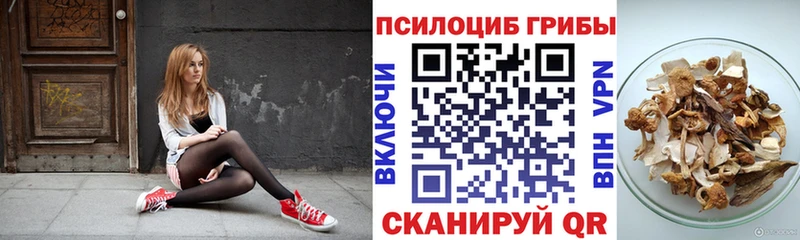 Псилоцибиновые грибы Magic Shrooms  Морозовск 